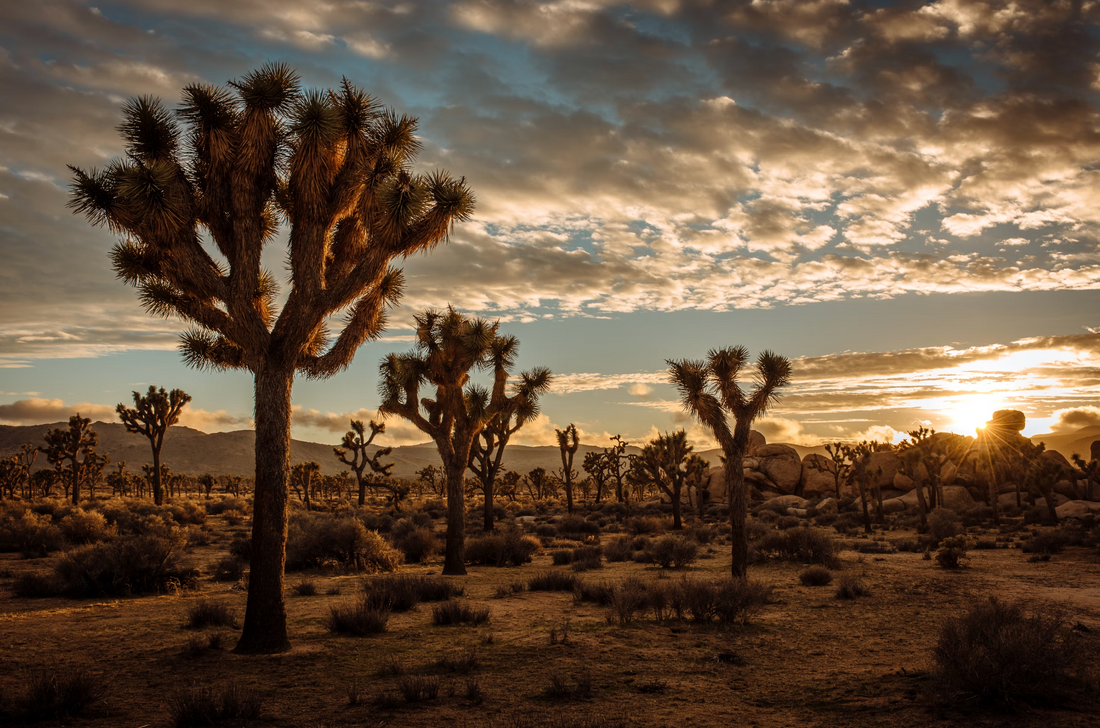 Vacation notice: July 6-13