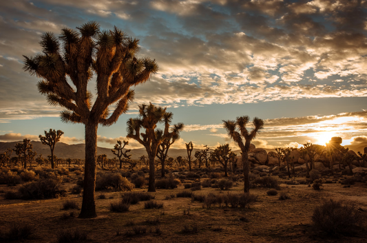 Vacation notice: July 6-13