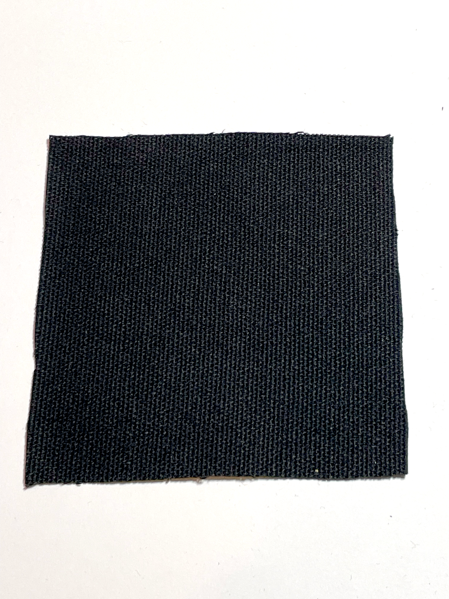 Silly Fish canvas patch