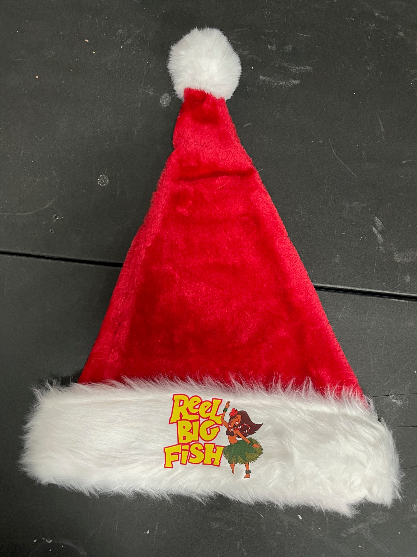 Hula Logo Santa Hat